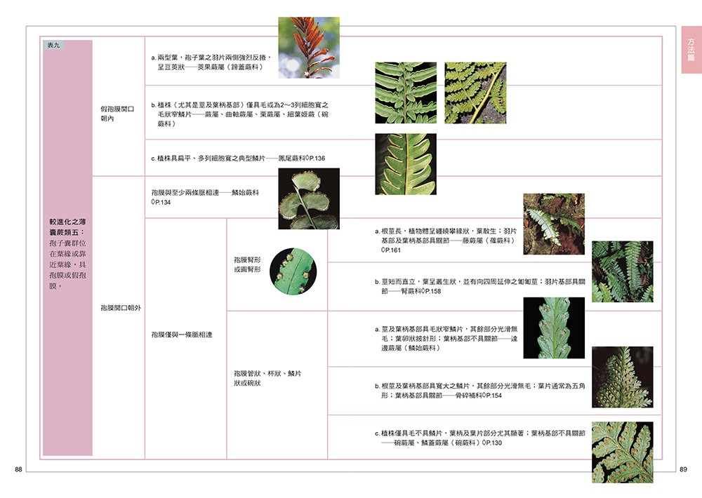 YLib 遠流博識網- 遠流網路書店