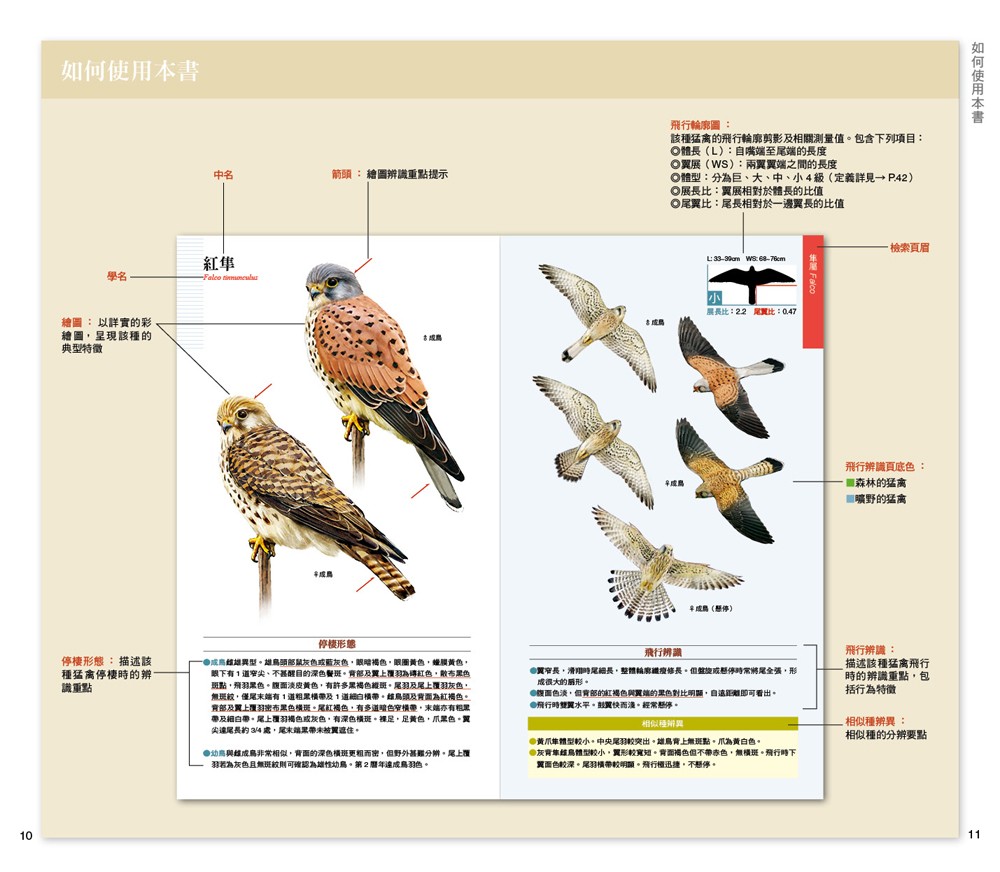 猛禽類学　　文永堂出版 鳥類学 | フランク・B. ギル, Gill,Frank B., 山階鳥類研究所