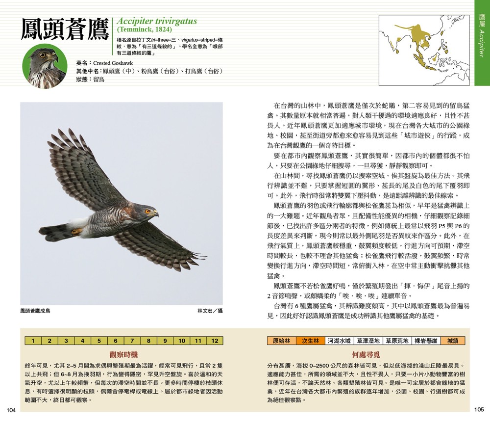 猛禽類学　　文永堂出版 鳥類学 | フランク・B. ギル, Gill,Frank B., 山階鳥類研究所