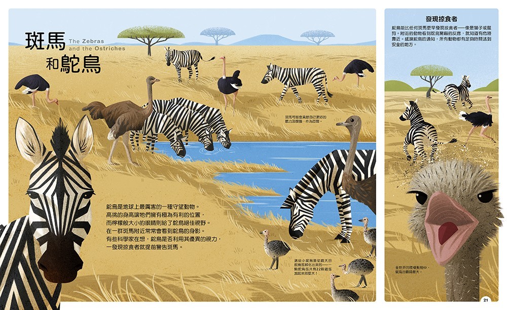 YLib 遠流博識網- 遠流網路書店