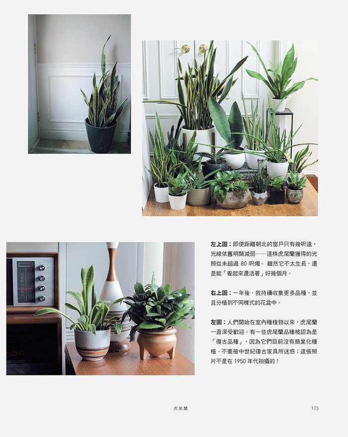 Ylib 遠流博識網 遠流網路書店